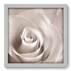 Quadro Decorativo com Moldura - Rosa - 001qnf - comprar online