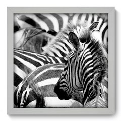 Quadro Decorativo com Moldura - Zebras - 001qns - comprar online