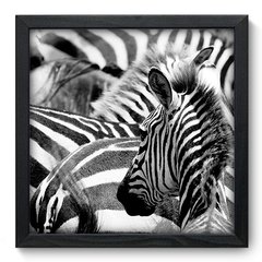 Quadro Decorativo com Moldura - Zebras - 001qns