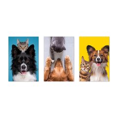 Kit 3 Placas Decorativas Pet Shop Cachorros Gatos - 0029ktpl - comprar online
