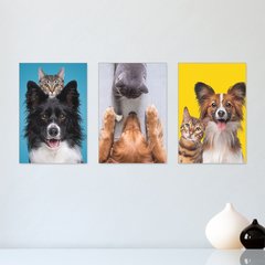 Kit 3 Placas Decorativas Pet Shop Cachorros Gatos - 0029ktpl
