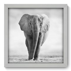 Quadro Decorativo com Moldura - Elefante - 002qns - comprar online