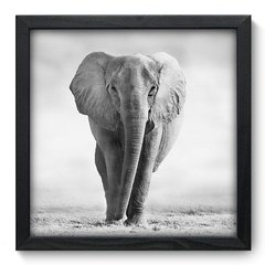 Quadro Decorativo com Moldura - Elefante - 002qns