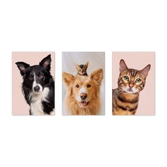 Kit 3 Placas Decorativas Pet Shop Cachorros Gatos - 0030ktpl - comprar online