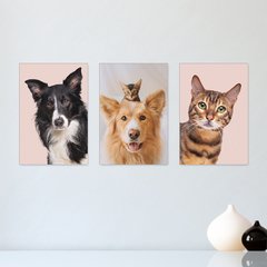 Kit 3 Placas Decorativas Pet Shop Cachorros Gatos - 0030ktpl