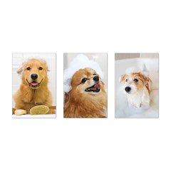 Kit 3 Placas Decorativas Pet Shop Cachorros Banho - 0032ktpl - comprar online