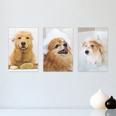 Kit 3 Placas Decorativas Pet Shop Cachorros Banho - 0032ktpl