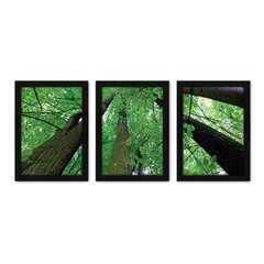 Kit Com 3 Quadros - Floresta Árvores Paisagem - 003kq02p - comprar online