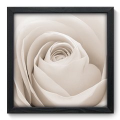 Quadro Decorativo com Moldura - Rosa - 003qnf