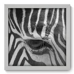 Quadro Decorativo com Moldura - Zebra - 003qns - comprar online