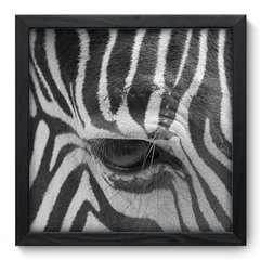 Quadro Decorativo com Moldura - Zebra - 003qns