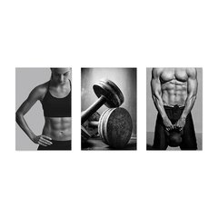 Kit 3 Placas Decorativas Academia Fitness Musculação - 0040ktpl - comprar online