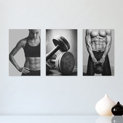 Kit 3 Placas Decorativas Academia Fitness Musculação - 0040ktpl