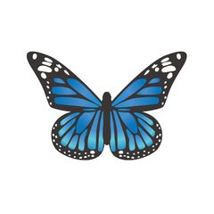 Adesivo de Parede Decorativo - Borboleta Azul - Sala - 004ir - comprar online
