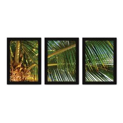 Kit Com 3 Quadros - Coqueiro Praia Paisagem - 004kq02p - comprar online