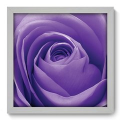 Quadro Decorativo com Moldura - Rosa - 004qnf - comprar online