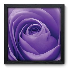 Quadro Decorativo com Moldura - Rosa - 004qnf