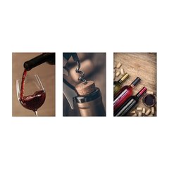 Kit 3 Placas Decorativas Vinho Wine Bebidas - 0057ktpl - comprar online