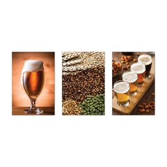 Kit 3 Placas Decorativas Cerveja Beer Bebidas - 0058ktpl - comprar online