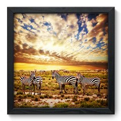 Quadro Decorativo com Moldura - Zebras - 008qns