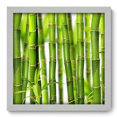 Quadro Decorativo com Moldura - Bambu - 009qnd - comprar online