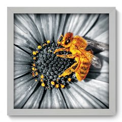 Quadro Decorativo com Moldura - Flor - 009qnf - comprar online