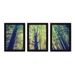 Kit Com 3 Quadros - Floresta Árvores Paisagem - 012kq02p - comprar online