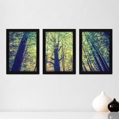 Kit Com 3 Quadros - Floresta Árvores Paisagem - 012kq02p