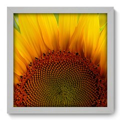 Quadro Decorativo com Moldura - Girassol - 012qnf - comprar online