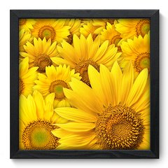 Quadro Decorativo com Moldura - Girassol - 014qnf