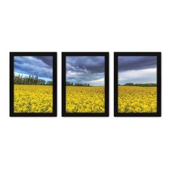 Kit Com 3 Quadros - Campo Flores Paisagem - 022kq02p - comprar online