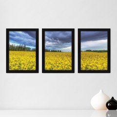 Kit Com 3 Quadros - Campo Flores Paisagem - 022kq02p