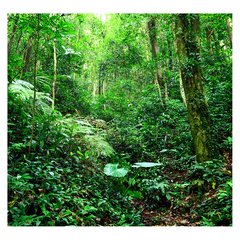 Papel de Parede Paisagem Floresta Natureza Sala Painel Adesivo - 023pc - comprar online