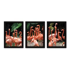 Kit Com 3 Quadros - Flamingos Natureza Animais - 030kq02p - comprar online