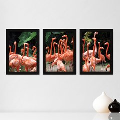 Kit Com 3 Quadros - Flamingos Natureza Animais - 030kq02p