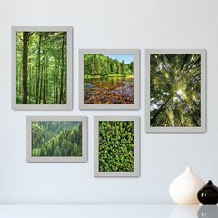 Kit Com 5 Quadros Decorativos - Floresta Pinheiros Rio - 037kq01 - comprar online