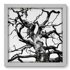 Quadro Decorativo com Moldura - Árvore - 043qnp - comprar online