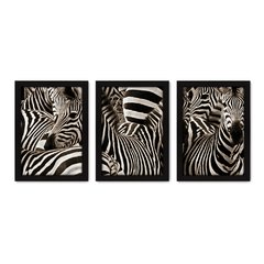 Kit Com 3 Quadros - Zebra Natureza Animais - 047kq02p - comprar online
