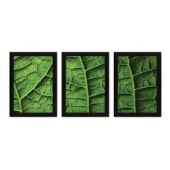 Kit Com 3 Quadros - Folhas Natureza Verde - 049kq02p - comprar online