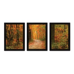 Kit Com 3 Quadros - Floresta Árvores Paisagem - 051kq02p - comprar online