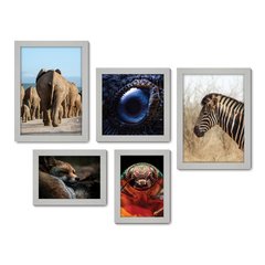 Kit Com 5 Quadros Decorativos - Animais Elefante Zebra Inseto - 071kq01 - Allodi