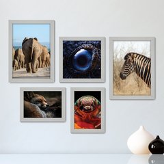 Kit Com 5 Quadros Decorativos - Animais Elefante Zebra Inseto - 071kq01 - comprar online