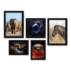 Kit Com 5 Quadros Decorativos - Animais Elefante Zebra Inseto - 071kq01 na internet