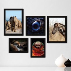 Kit Com 5 Quadros Decorativos - Animais Elefante Zebra Inseto - 071kq01