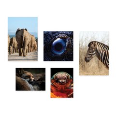 Kit 5 Placas Decorativas - Animais Elefante Zebra Inseto Casa Quarto Sala - 071ktpl5 - comprar online