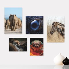 Kit 5 Placas Decorativas - Animais Elefante Zebra Inseto Casa Quarto Sala - 071ktpl5