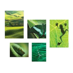 Kit 5 Placas Decorativas - Verde Natureza Animais Casa Quarto Sala - 076ktpl5 - comprar online