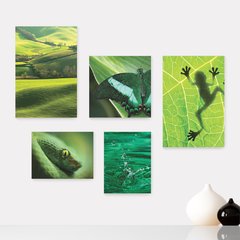 Kit 5 Placas Decorativas - Verde Natureza Animais Casa Quarto Sala - 076ktpl5