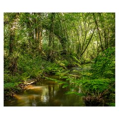 Papel de Parede Paisagem Floresta Natureza Sala Painel Adesivo - 078pc na internet