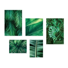Kit 5 Placas Decorativas - Folhas Natureza Costela de Adão Casa Quarto Sala - 083ktpl5 - comprar online